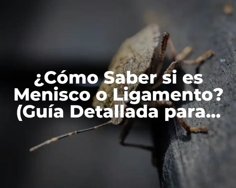 ¿Cómo Saber si es Menisco o Ligamento? (Guía Detallada para Diagnóstico y Tratamiento)