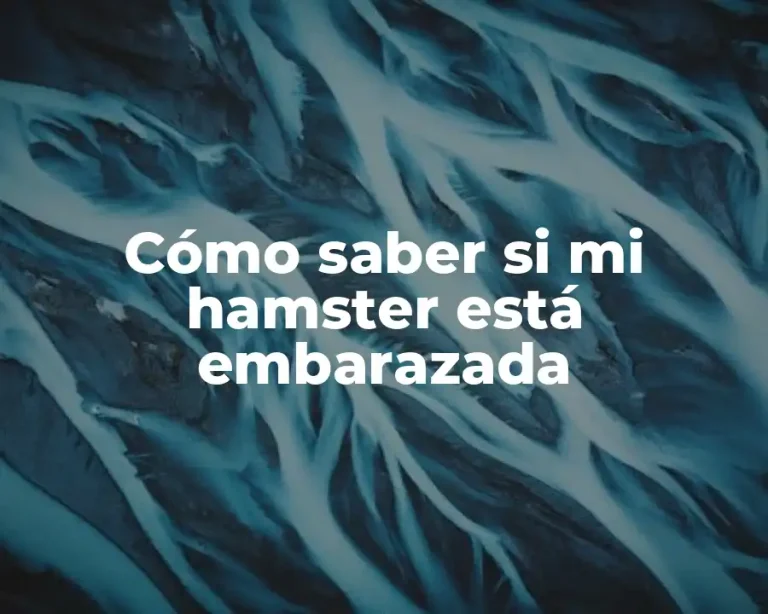 Cómo saber si mi hamster está embarazada