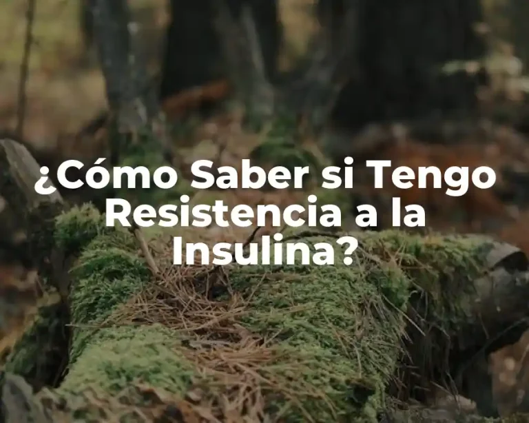 ¿Cómo Saber si Tengo Resistencia a la Insulina?