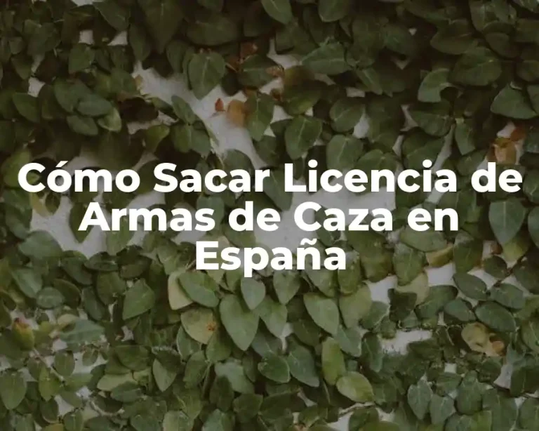 Cómo Sacar Licencia de Armas de Caza en España