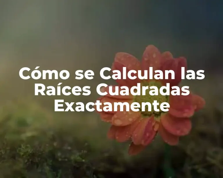 Cómo se Calculan las Raíces Cuadradas Exactamente