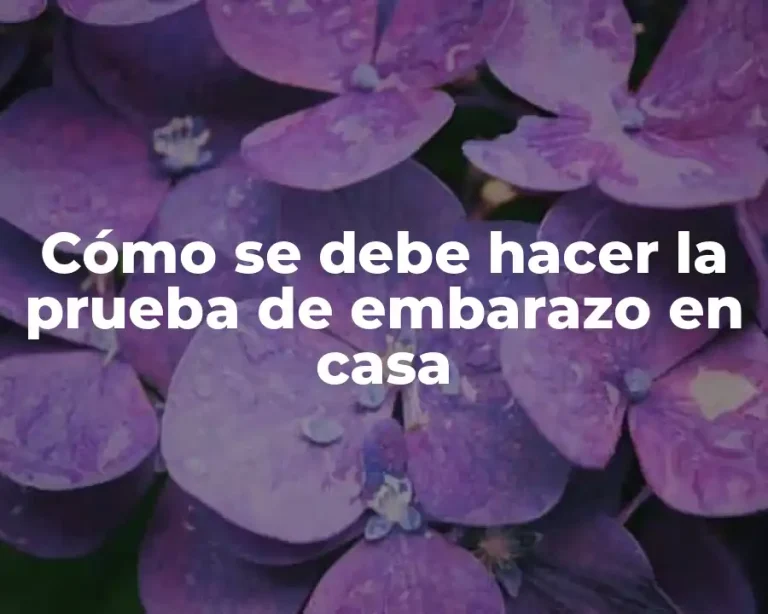Cómo se debe hacer la prueba de embarazo en casa
