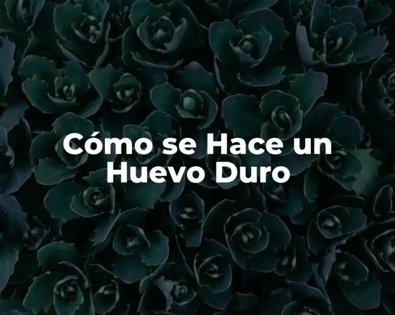 Cómo se Hace un Huevo Duro