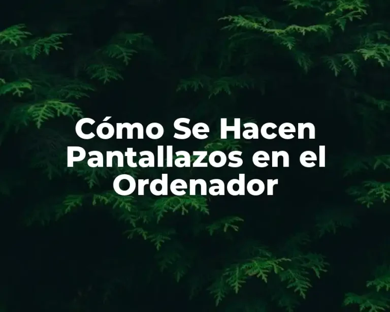 Cómo Se Hacen Pantallazos en el Ordenador
