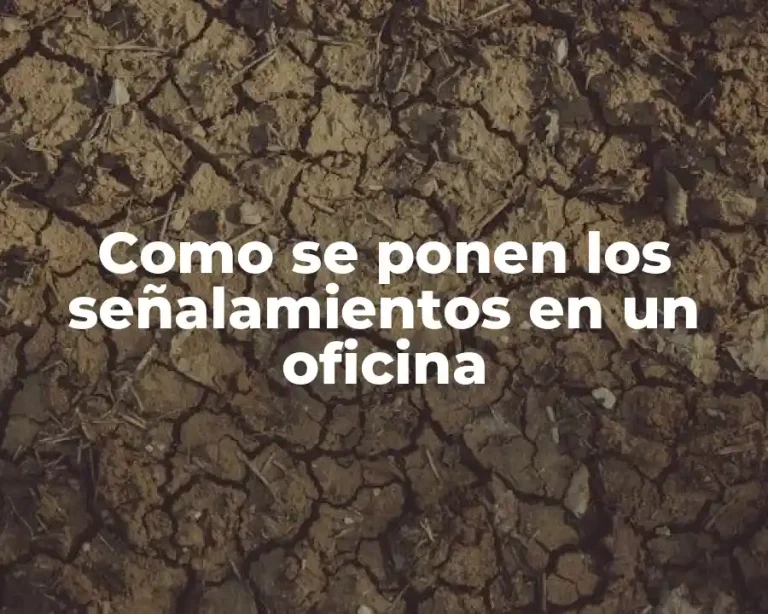 Como se ponen los señalamientos en un oficina