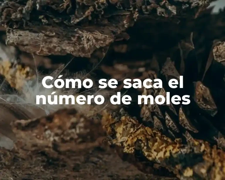 Cómo se saca el número de moles