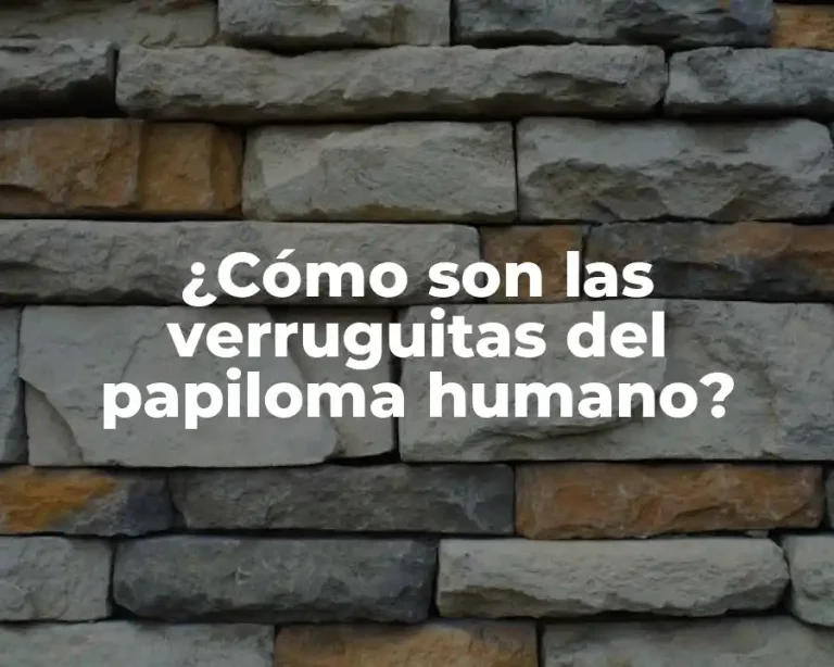 ¿Cómo son las verruguitas del papiloma humano?