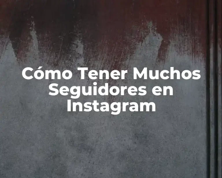 Cómo Tener Muchos Seguidores en Instagram