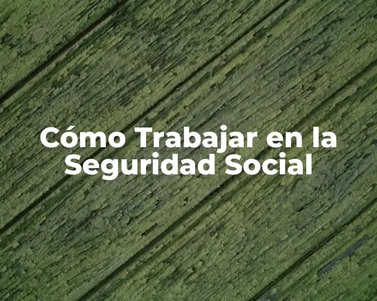 Cómo Trabajar en la Seguridad Social
