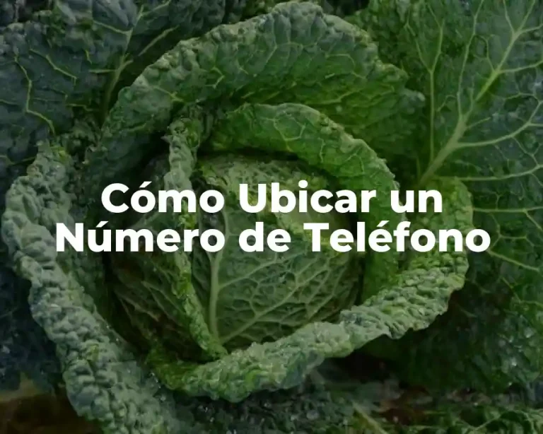 Cómo Ubicar un Número de Teléfono