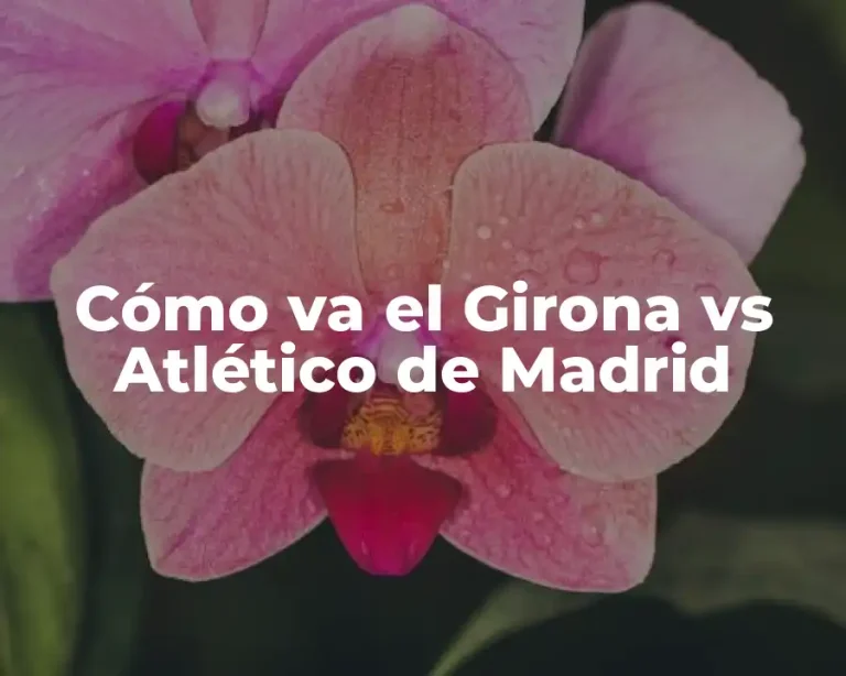 Cómo va el Girona vs Atlético de Madrid