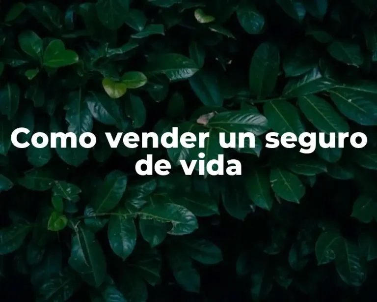 Como vender un seguro de vida