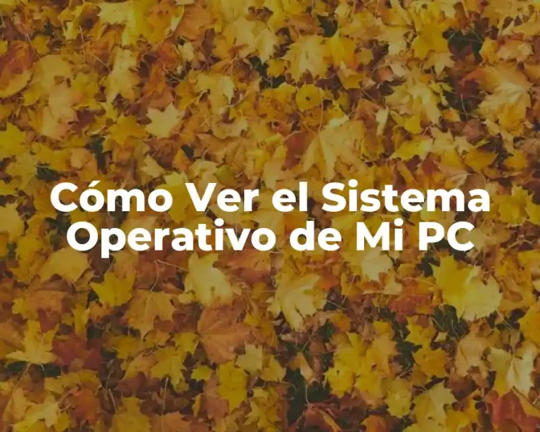 Cómo Ver el Sistema Operativo de Mi PC