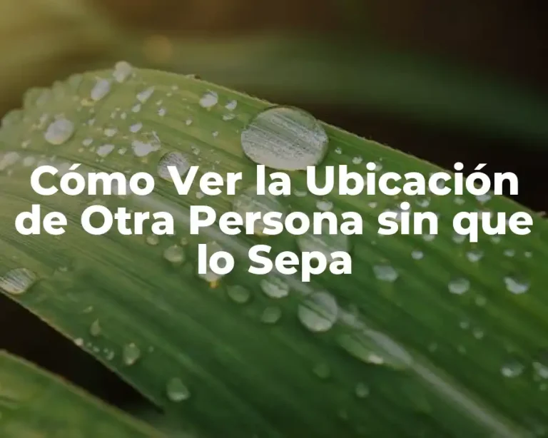 Cómo Ver la Ubicación de Otra Persona sin que lo Sepa