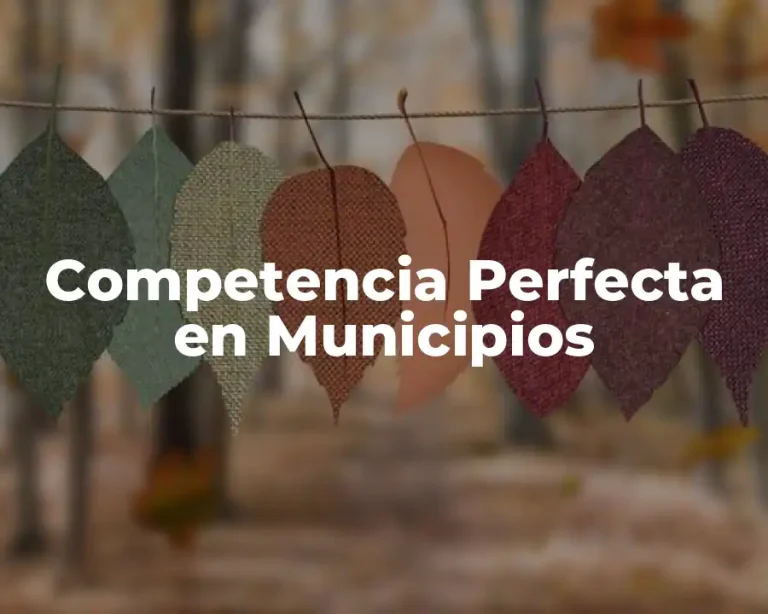 Competencia Perfecta en Municipios