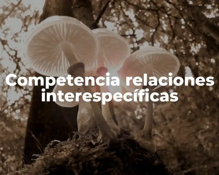 Competencia relaciones interespecíficas
