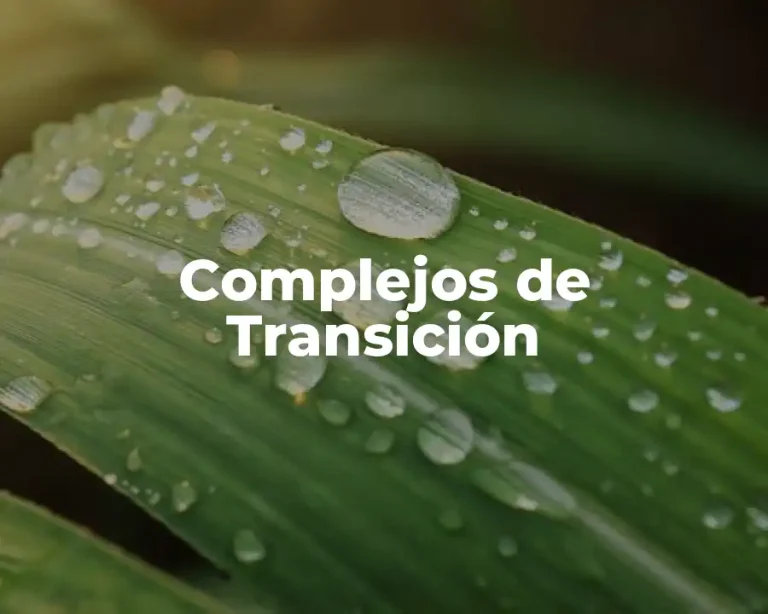 Complejos de Transición
