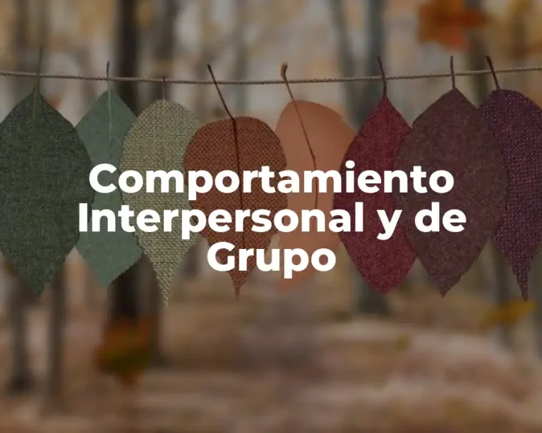 Comportamiento Interpersonal y de Grupo