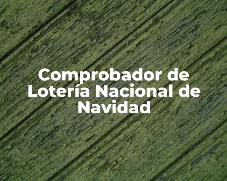 Comprobador de Lotería Nacional de Navidad