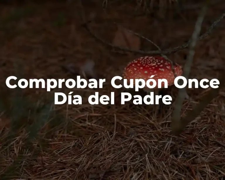 Comprobar Cupón Once Día del Padre
