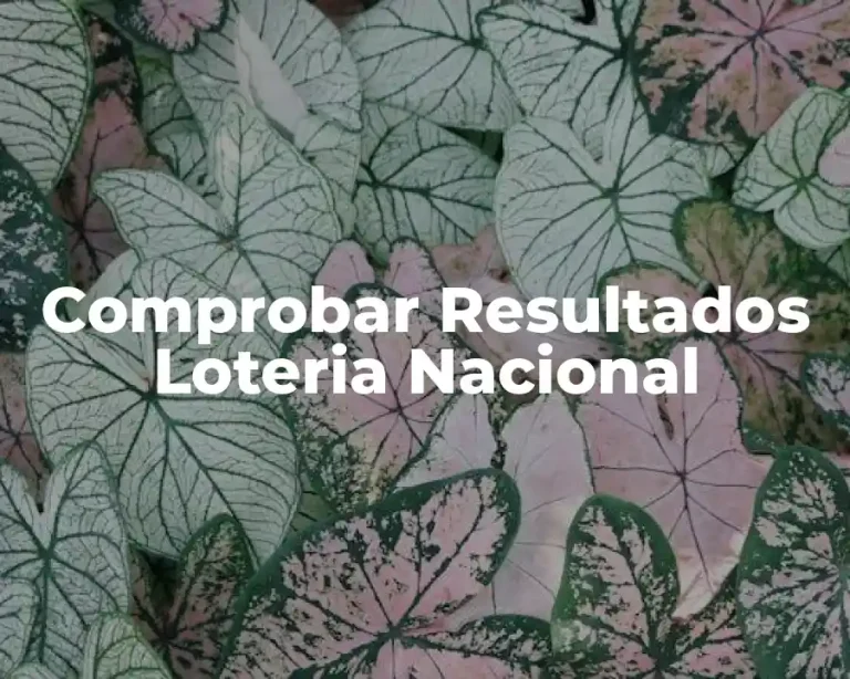 Comprobar Resultados Loteria Nacional