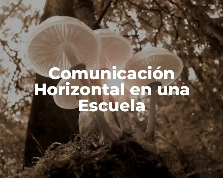 Comunicación Horizontal en una Escuela