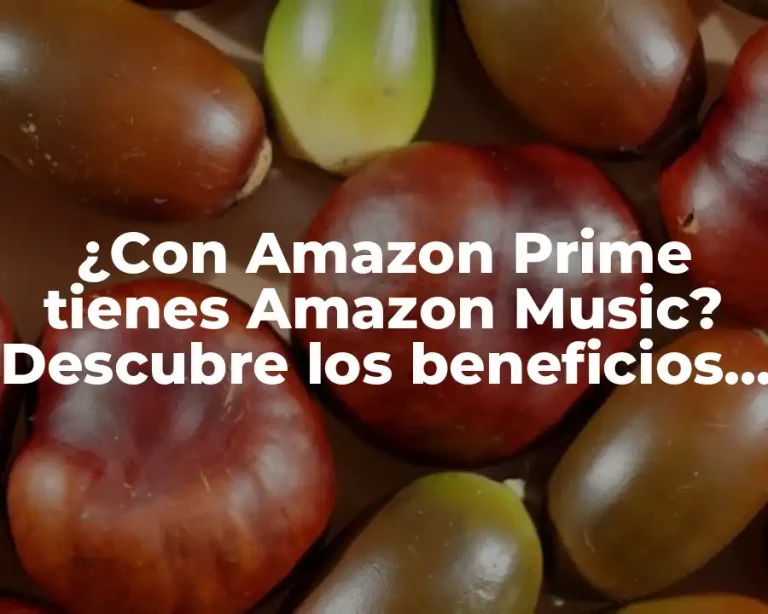 ¿Con Amazon Prime tienes Amazon Music? Descubre los beneficios de la membresía