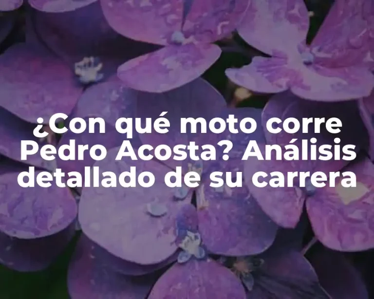 ¿Con qué moto corre Pedro Acosta? Análisis detallado de su carrera