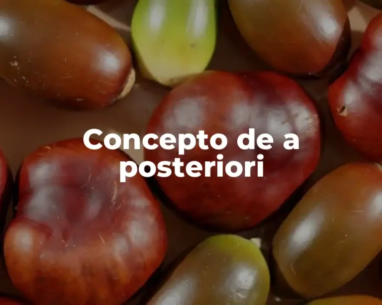 Concepto de a posteriori
