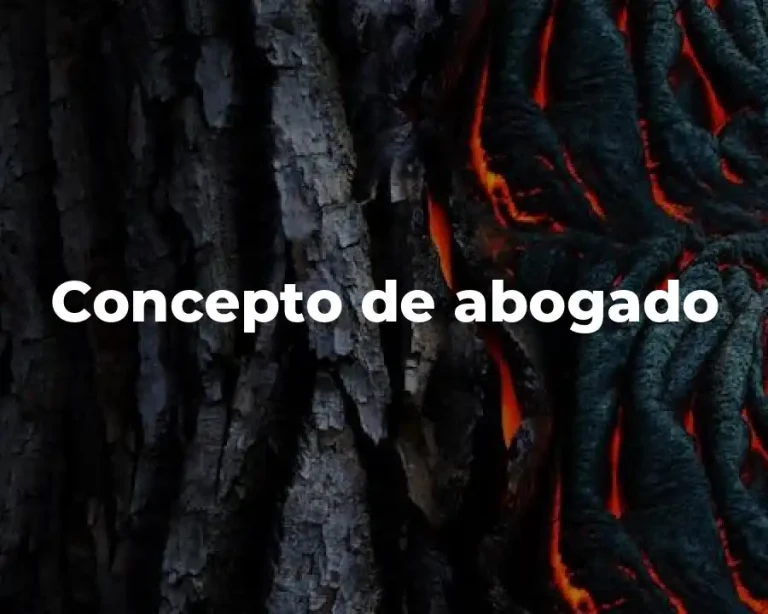 Concepto de abogado