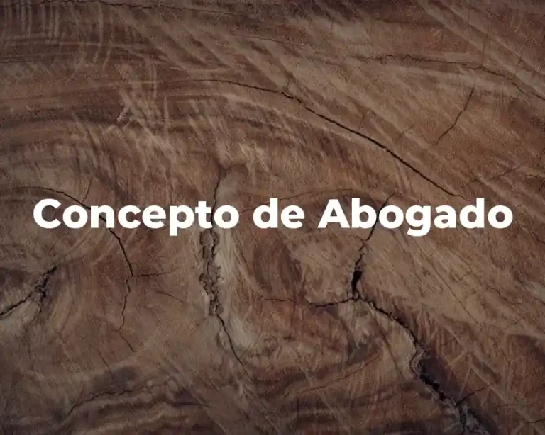 Concepto de Abogado