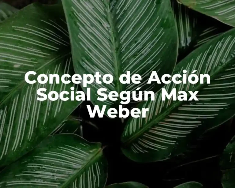 Concepto de Acción Social Según Max Weber