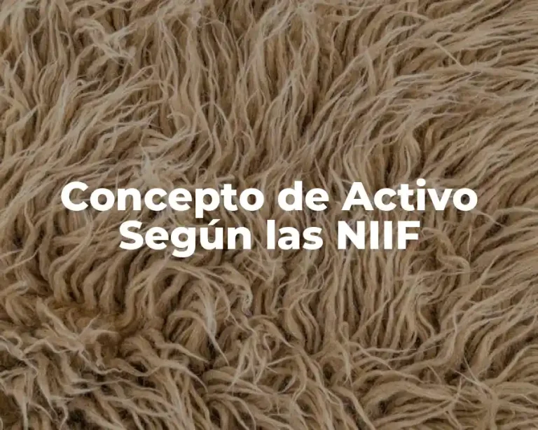 Concepto de Activo Según las NIIF