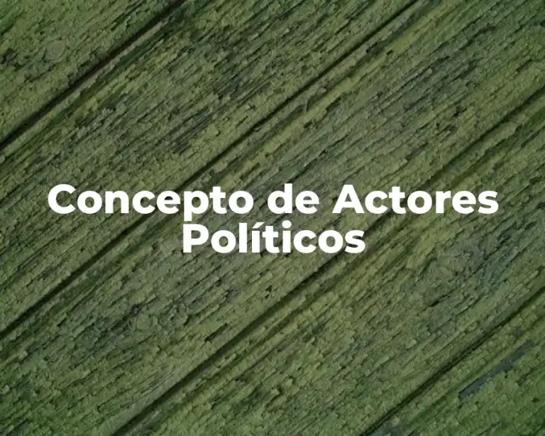 Concepto de Actores Políticos