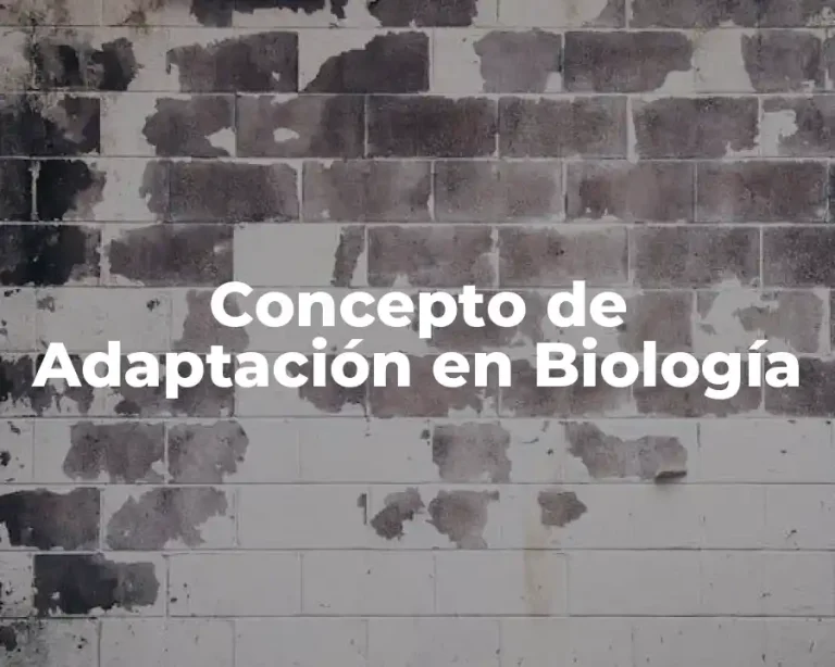 Concepto de Adaptación en Biología