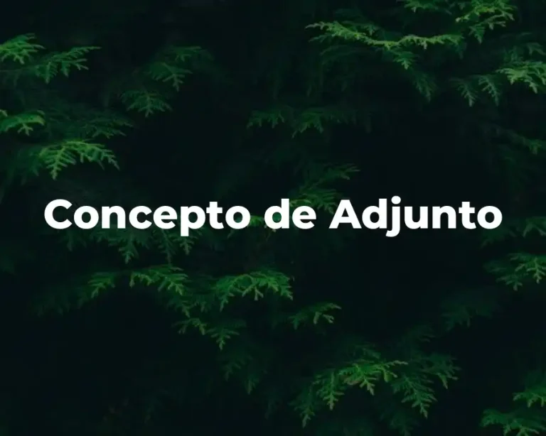 Concepto de Adjunto