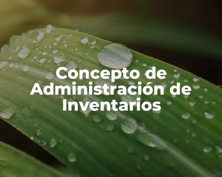 Concepto de Administración de Inventarios