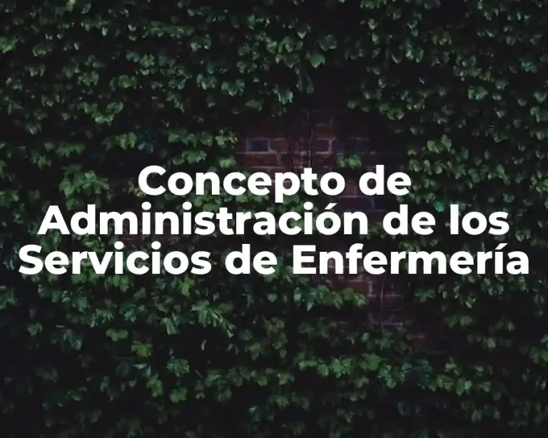 Concepto de Administración de los Servicios de Enfermería