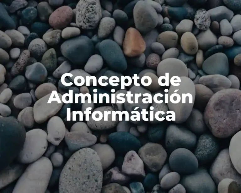 Concepto de Administración Informática
