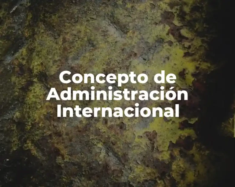 Concepto de Administración Internacional