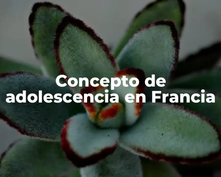 Concepto de adolescencia en Francia