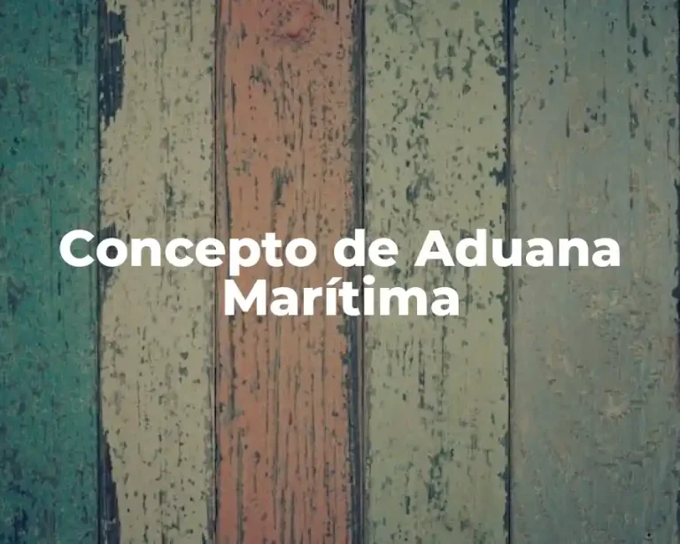 Concepto de Aduana Marítima