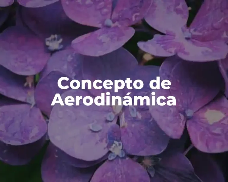 Concepto de Aerodinámica