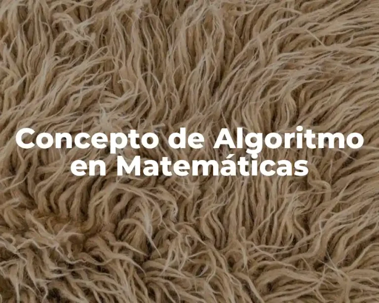 Concepto de Algoritmo en Matemáticas
