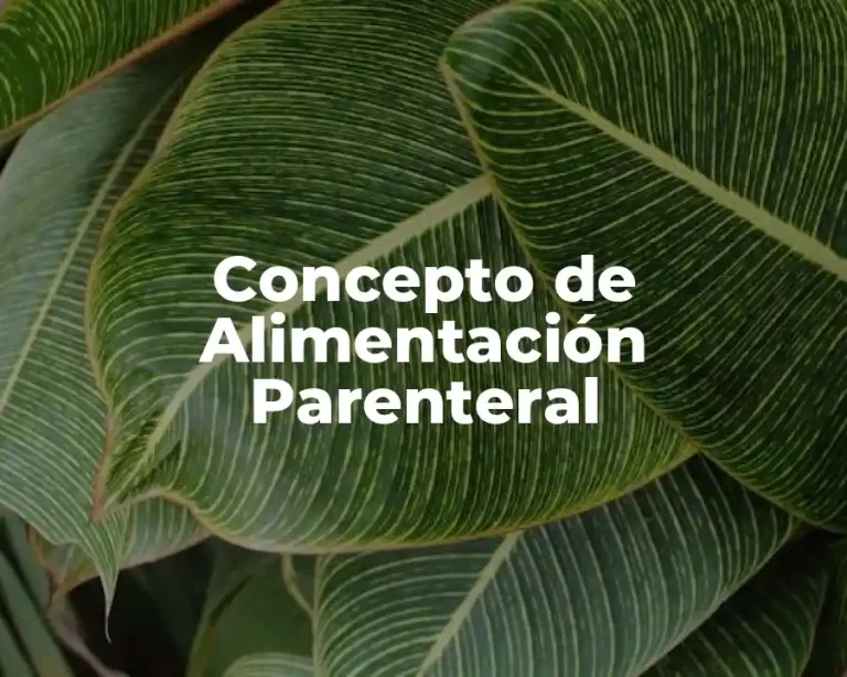 Concepto de Alimentación Parenteral