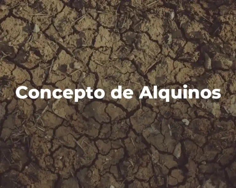 Concepto de Alquinos