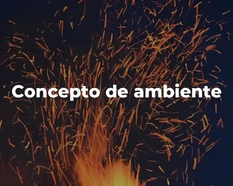 Concepto de ambiente