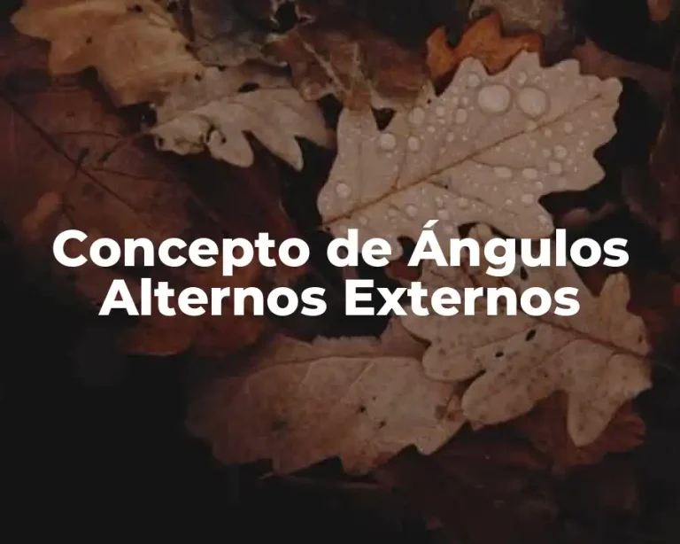 Concepto de Ángulos Alternos Externos