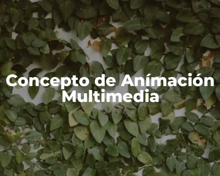Concepto de Anímación Multimedia