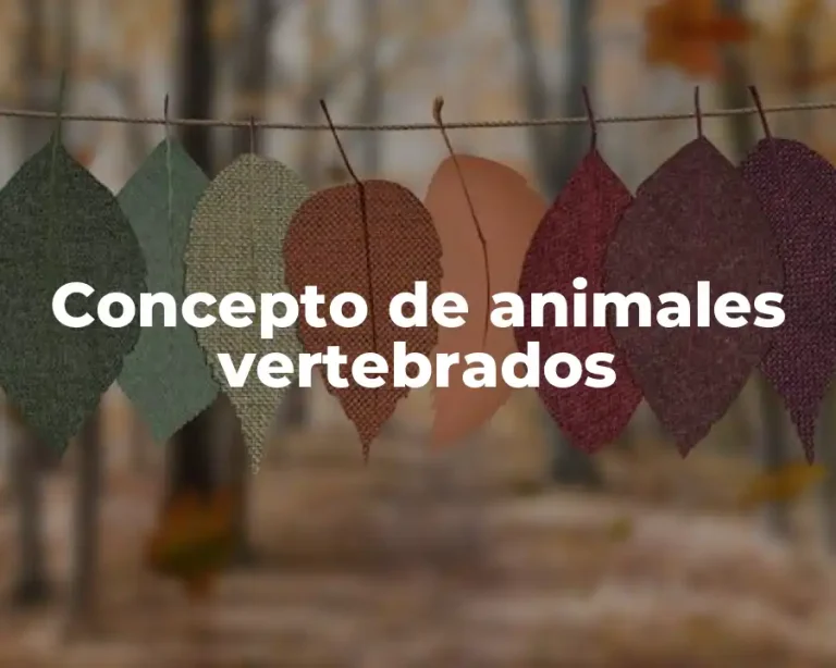 Concepto de animales vertebrados